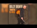 Billy Bragg  - Goodbye, Goodbye