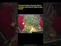 EBNW Story 2 Video thumbnail