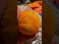 Is This Grapefruit Edible Thanks Mobility Plussizemotivation Clarksvilletn Youtubeblack