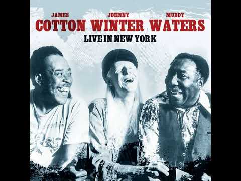 Muddy Waters,Johnny Winter & James Cotton⭐Live in New York⭐How Long Can a Fool Go Wrong Live⭐(2023)
