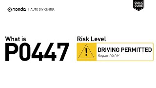 dtc p0447 quickly Fix