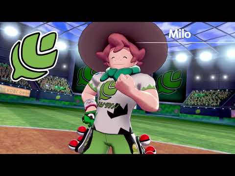 milo grass badge walkthrough tutorial pokemon sword