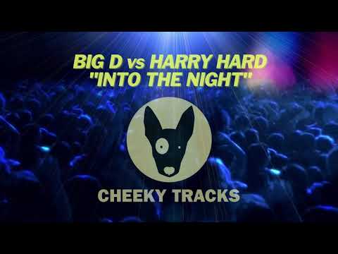 Big D vs Harry Hard - Into The Night (Cheeky Tracks)