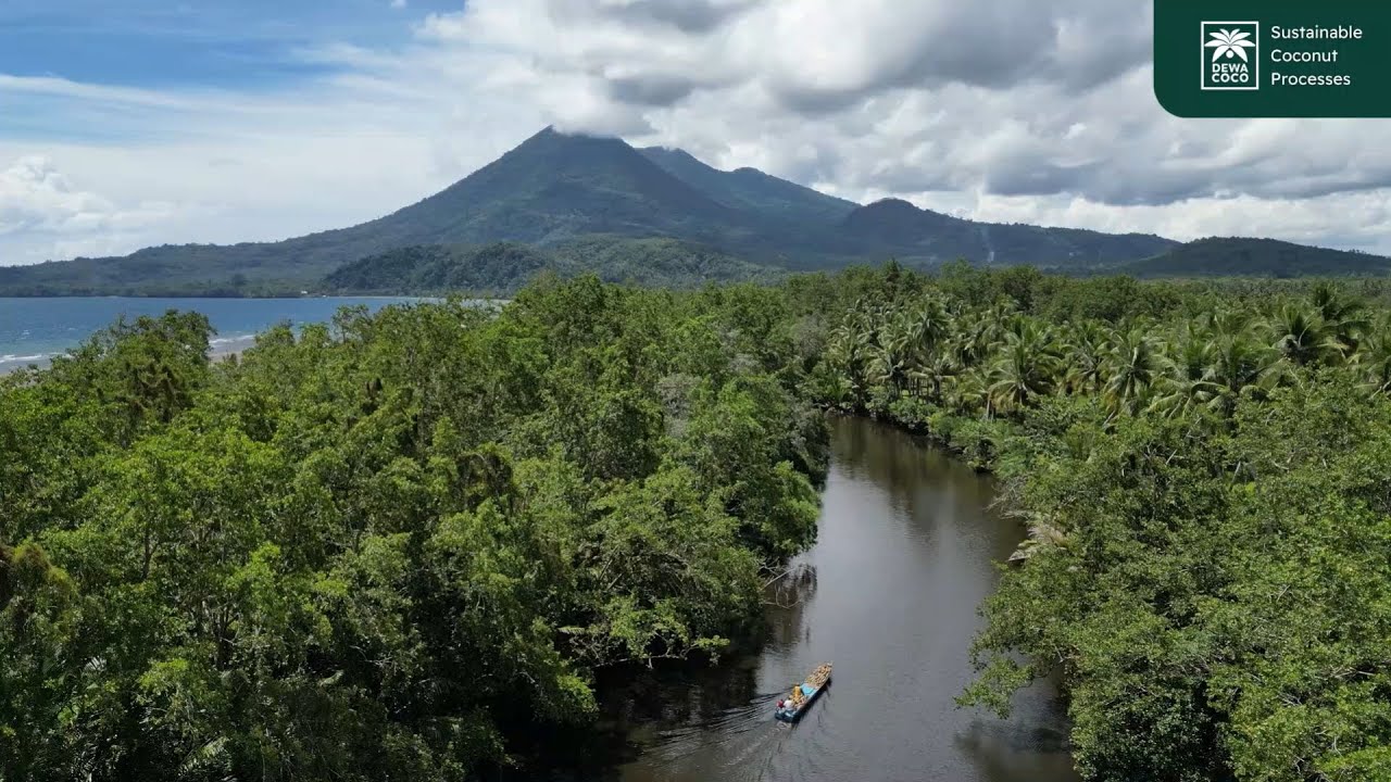 Dewacoco - Desiccated Coconut Manufacturing Processes