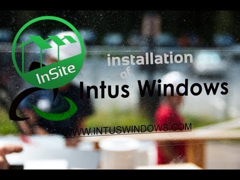 InSite's Windows