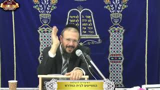 שלחן ערוך יורה דעה סימן קע"ב ¤ שידור חי ¤ כ"ה טבת תשפ"ו (14.1.2026) (מוסדות תורת דוד) - התמונה מוצגת ישירות מתוך אתר האינטרנט יוטיוב. זכויות היוצרים בתמונה שייכות ליוצרה. קישור קרדיט למקור התוכן נמצא בתוך דף הסרטון