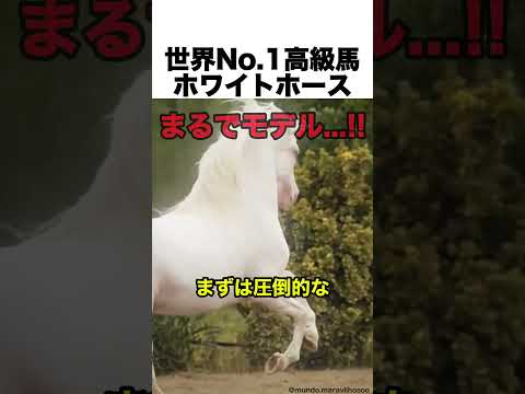 世界一高級なホワイトホースがヤバいw