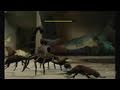 Deadly Creatures Nintendo Wii Gameplay Crawling On The