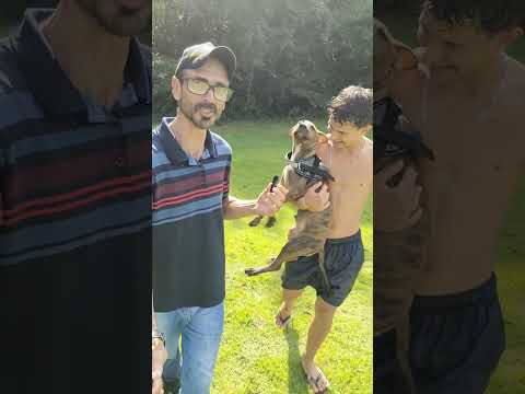 Rio Dourados Mandaguari-Paraná @REDE.LEGAL.BRASIL  2025