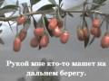 Ольга Зарубина - По ягоды 