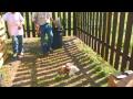 How to kill a chicken 