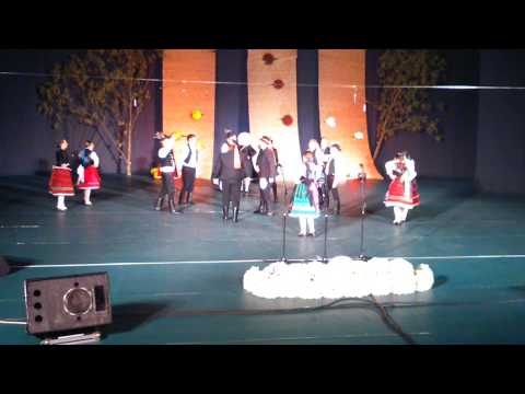 FS V Pivnickom poli PANONSKI VAŠAR 2014 sVADBA