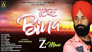 TERE BINA || Z MANI ft. NITIN SHARMA || FULL PUNJABI SONG 2018 || AARV PRODUCTION