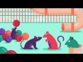 https://youtu.be/lDuLHkHhleI