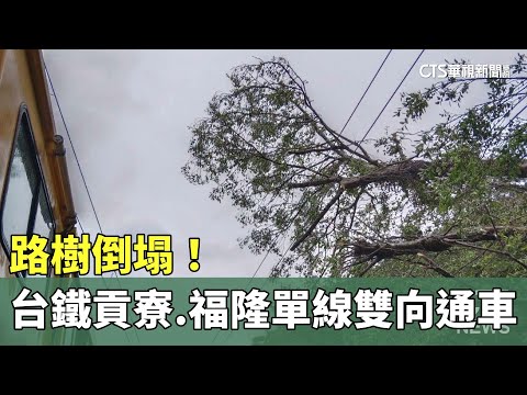 路樹倒塌！台鐵貢寮.福隆間一度單線雙向通車