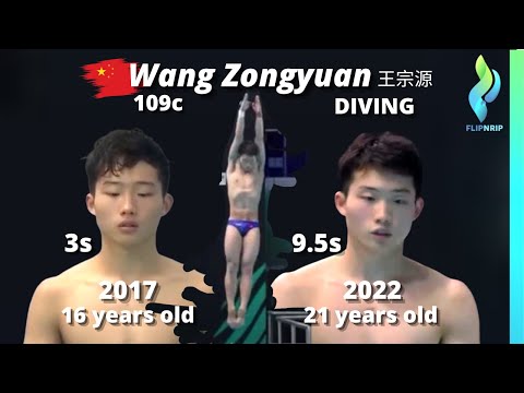 Wang Zongyuan 王宗源 109c Chinese 3 Meter Diver - 2017 -2022