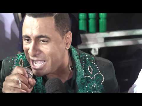 Desfile das Escolas de São Paulo 2019 - 03 Mancha Verde (www.tamborins.com.br)