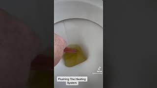 Mains Flushing A Central Heating System TikTok Video