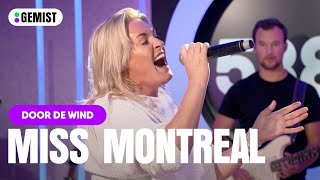 Miss Montreal speelt prachtige versie van Door De Wind  🙌 | 538 Gemist