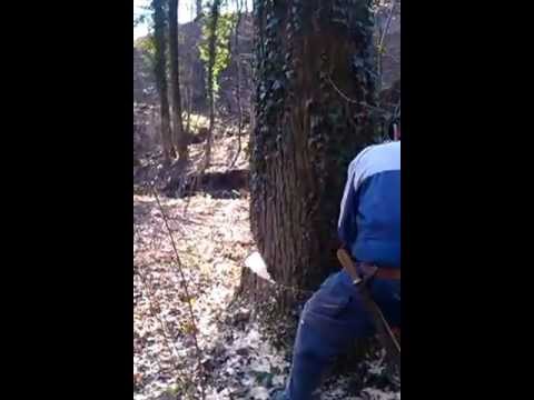 Trattamento di bimbi per vermi Parassiti di flemma di tosse