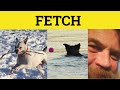 🔵 Fetch - Fetch Meaning - Fetch Examples - Fetch in a Sentence