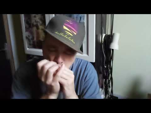 trial: Moses Concas - A day in Matera - G Lee Oskar Natural Minor harmonica  beatbox cover, my idea