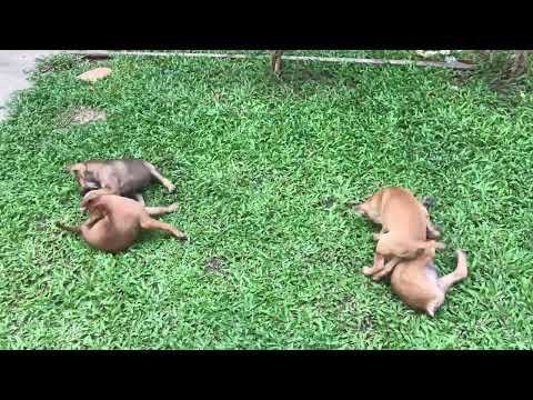 They are so happy🥰🥰👩‍👩‍👧‍👦