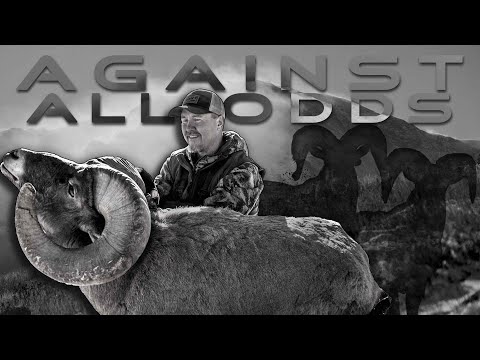 AGAINST ALL ODDS | Bowhunting Colorado Bighorn