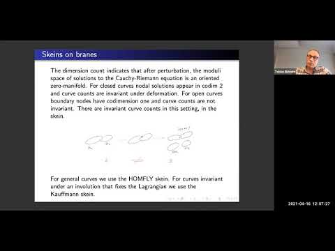 Tobias Ekholm - Skein module curve counts and recursion