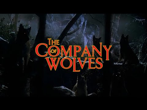 The Company of Wolves (1984) | Ambient Soundscape