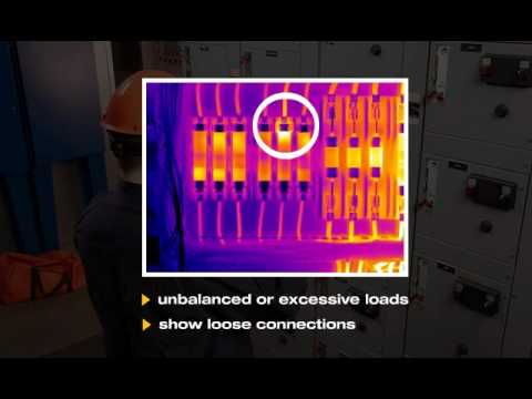 Cold Storage Thermography Survey