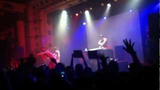 Die Antwoord - Hey Sexy (live @ Chicago Metro)