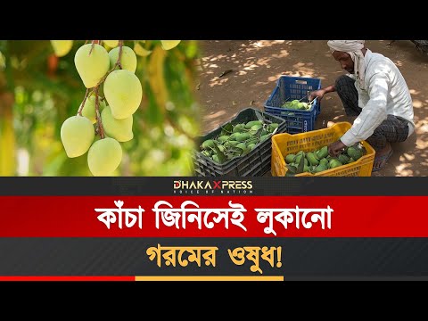 যে কারণে গরমে কাঁচা আম খাওয়া জরুরি!