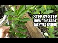 6 Simple steps Paano magsimula ng Backyard Garden