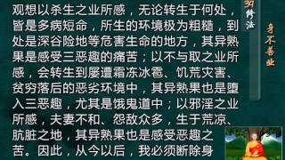 前行实修法（动画版 1-92修法） >> 第39修法：身不善业