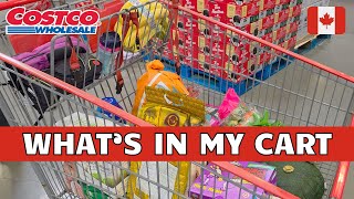 New Costco Haul | COSTCO CANADA Shopping