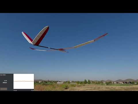 More Practice With the ​⁠@ArmSoar  Medina