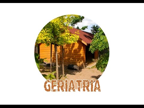 Geriatria 1 - Schronisko dla Bezdomnych Zwierząt w Kaliszu