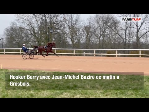 Prix d’Amérique : Hooker Berry avec Jean-Michel Bazire lundi matin à Grosbois