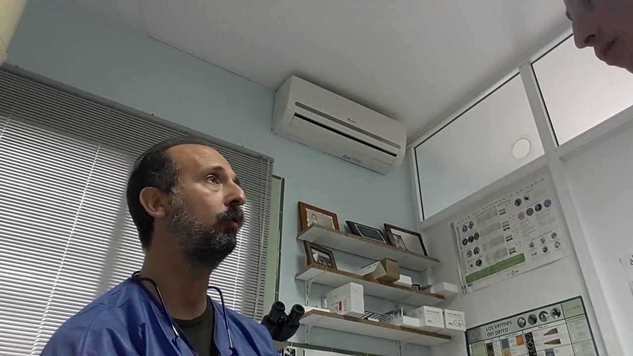 CLÍNICA VETERINARIA SANTA MARÍA |  CLÍNICA VETERINARIA PUERTO DE SANTA MARÍA