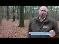 'Het is een schande'; werkgroep woedend om 'kaalslag' op Landgoed Warnsborn