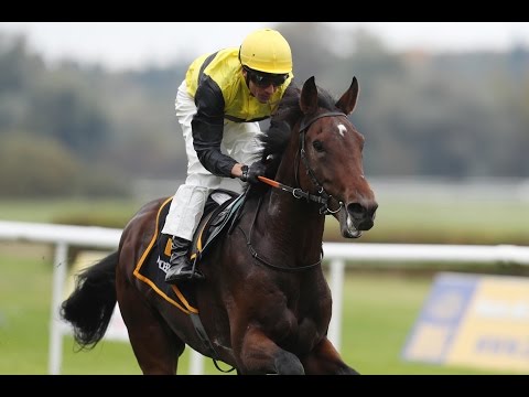 Baden-Baden: Preis vom Gestüt Graditz (D) - Sieger: Kastano