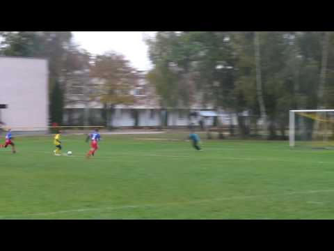 SEMP95 - PERŁA ZŁOTOKŁOS