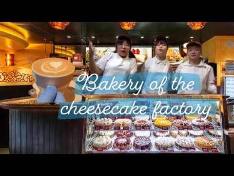 Como trabalhar na padaria The Cheesecake Factory HongKong 101🍰🍰🍰