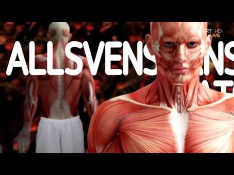 Malmö FF - IFK Norrköping 0 2  Norrköpings Guldmatch 2015 mp4