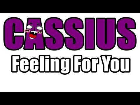 Cassius - Feeling for you