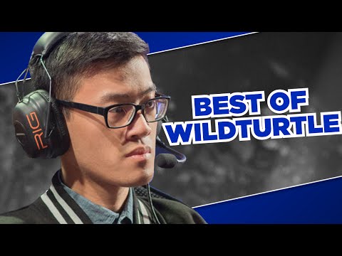 Best Of WildTurtle - League Of Legends Funny Montage