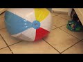 Beach Ball Bouncing