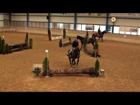 Finnicella Mia Indoor CC Training Buchs 2017 Teil 4