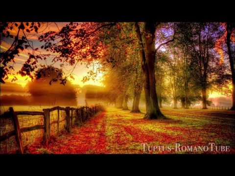 Romane Gila - Racia Kalona (Tuptus)